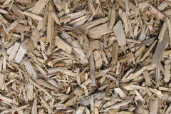 biomass boilers Binton