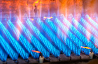 Binton gas fired boilers